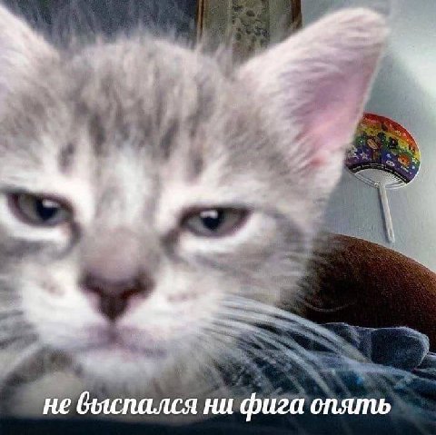 не ни фига опять
