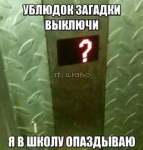УБЛЮДОК ЗАГАДКИ ВЫКЛЮЧИ ШКОЛУ ОПАЗДЫВАЮ