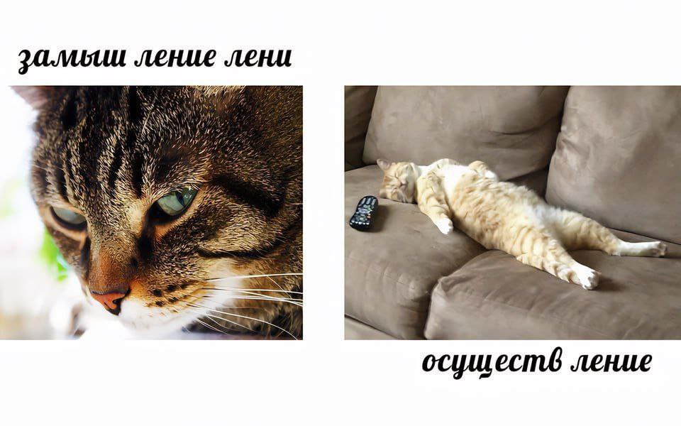 ление лени А осуществ ление