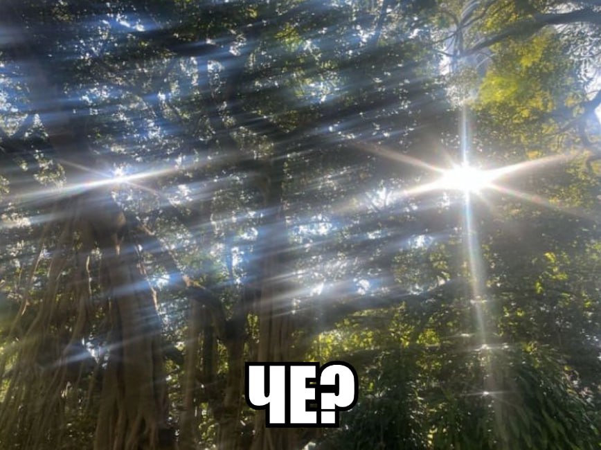 a 2 2? an у we an и у у с a у А у и 4 a 7