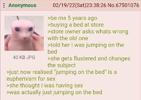 Anonymous 02/19/22(Sat)23:38:26 No.67501076 >be me 5 years ago >buying a bed at store >store owner asks whats wrong with the old one >told her was jumping on the 40 JPG >she gets flustered and changes