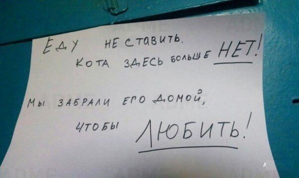 KoTA ЗДЕСЬ HET. Мы ЗАБРАЛИ ЕСО ЛЮБИТЬ’