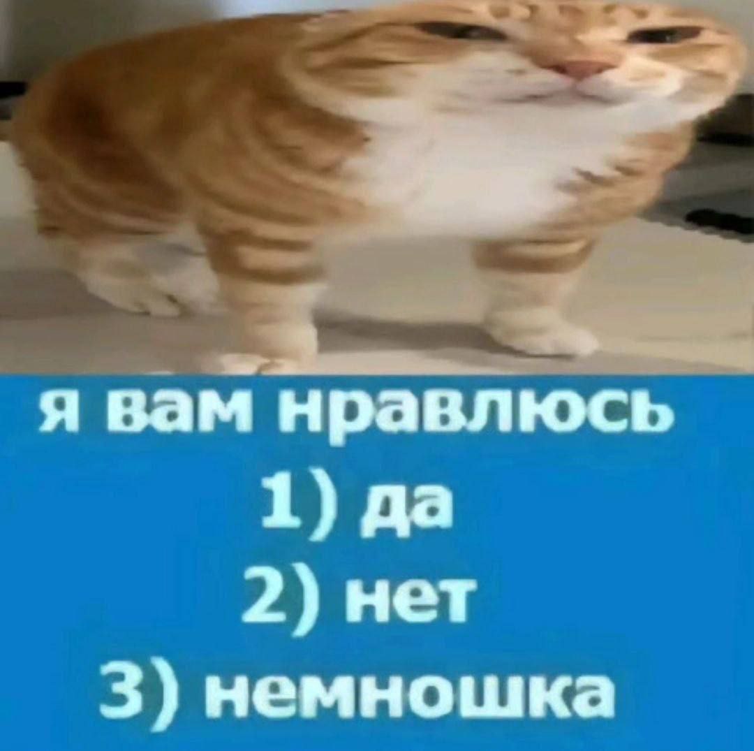 я вам нравлюсь 1) да 2) нет 3) немношка