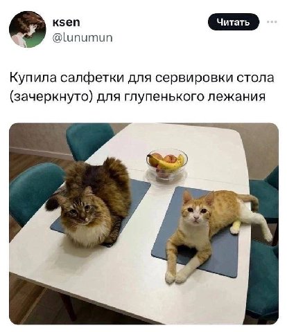 к5еп @lunumun Купила салфетки для сервировки стола (зачеркнуто) для глупенького лежания