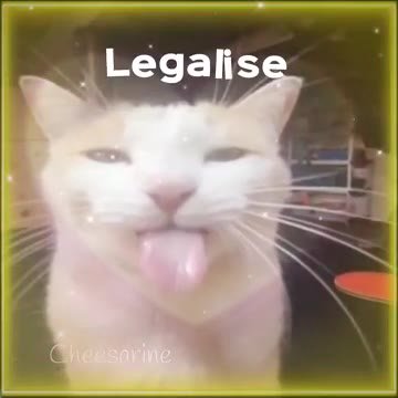 мем