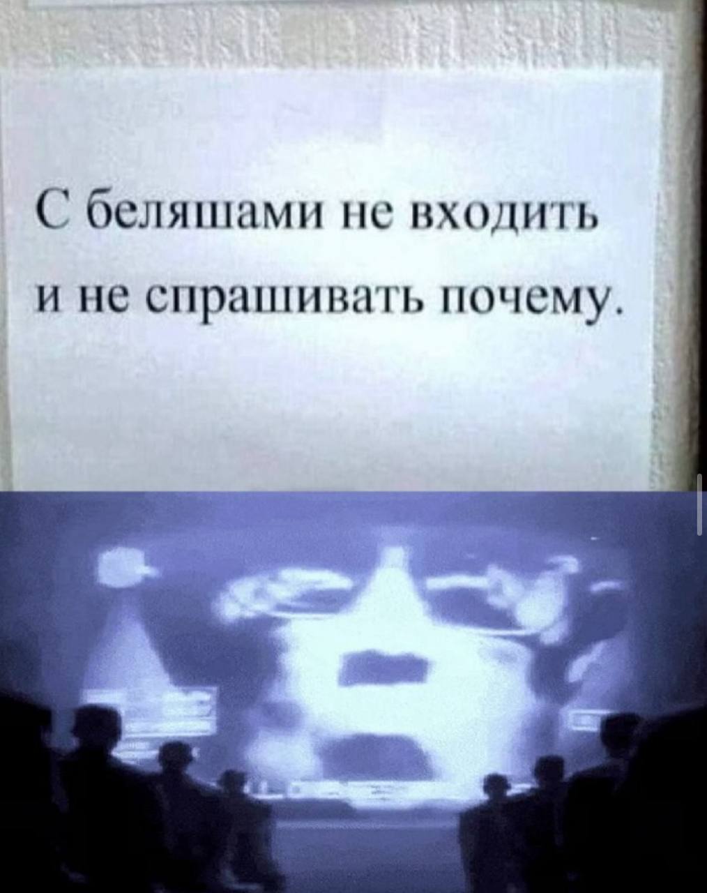С беляшами не входить и не спрашивать почему.