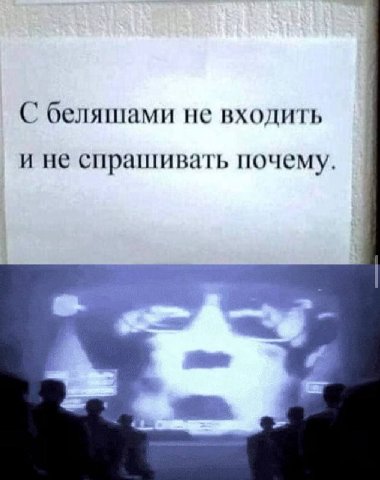 С беляшами не входить и не спрашивать почему.
