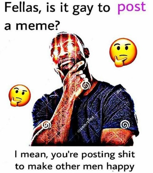 Fellas, is it gay to post а meme? mean, you're posting shit to make other men happy