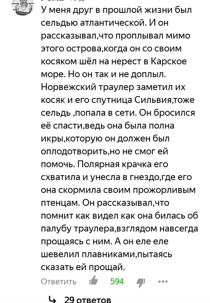 У меня друг в прошлой жизни был сельдью атлантической. И он проплывал мимо этого острова,когда он своим косяком шёл на нерест в Карское море. Но он так и не доплыл. Норвежский траулер заметил косяк и 