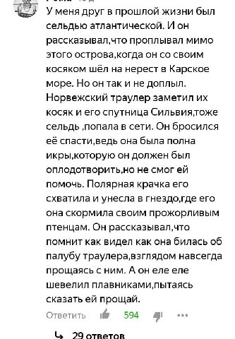 У меня друг в прошлой жизни был сельдью атлантической. И он проплывал мимо этого острова,когда он своим косяком шёл на нерест в Карское море. Но он так и не доплыл. Норвежский траулер заметил косяк и 
