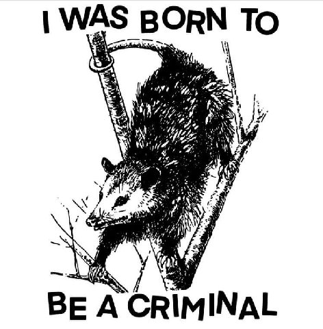 WAS BORN To We 2 у We ala; at a\ a)