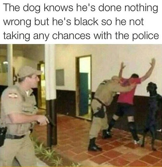 The dog knows he's done nothing wrong but he's black so he not taking any chances with the police