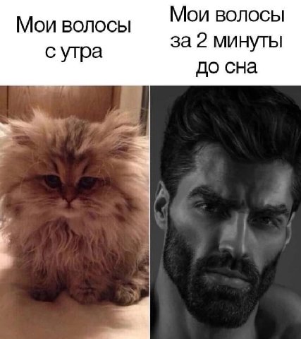 Мои волосы Мои волосы за 2 минуты с утра до сна