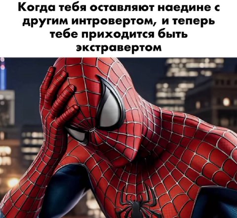 Когда тебя оставляют наедине с другим интровертом, и теперь тебе приходится быть экстравертом у