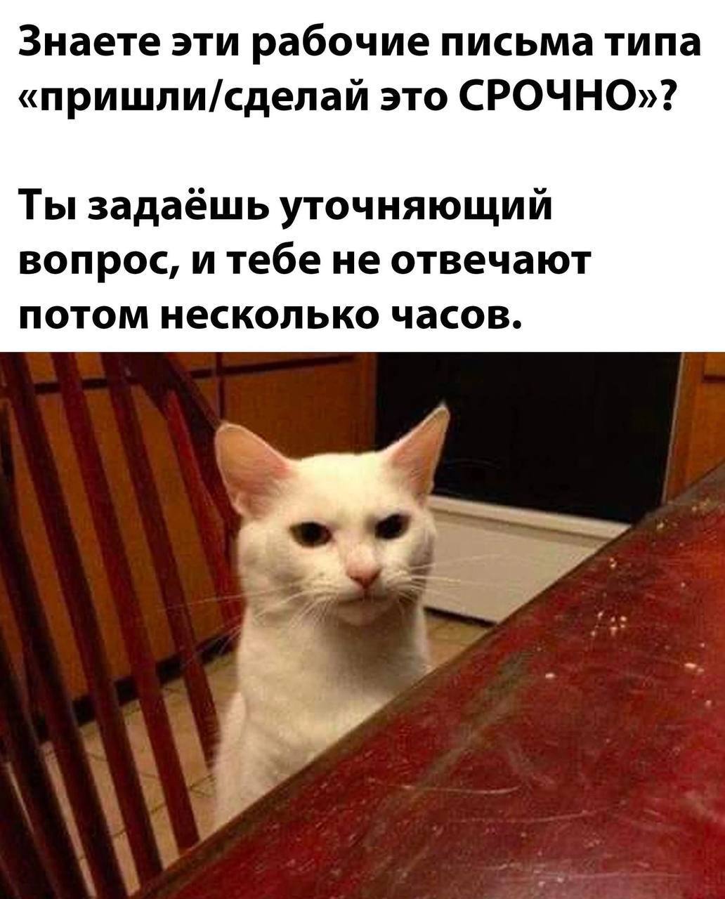 Знаете эти рабочие письма типа «пришли/сделай это СРОЧНО»? Ты задаёшь уточняющий вопрос, и тебе не отвечают потом несколько часов.