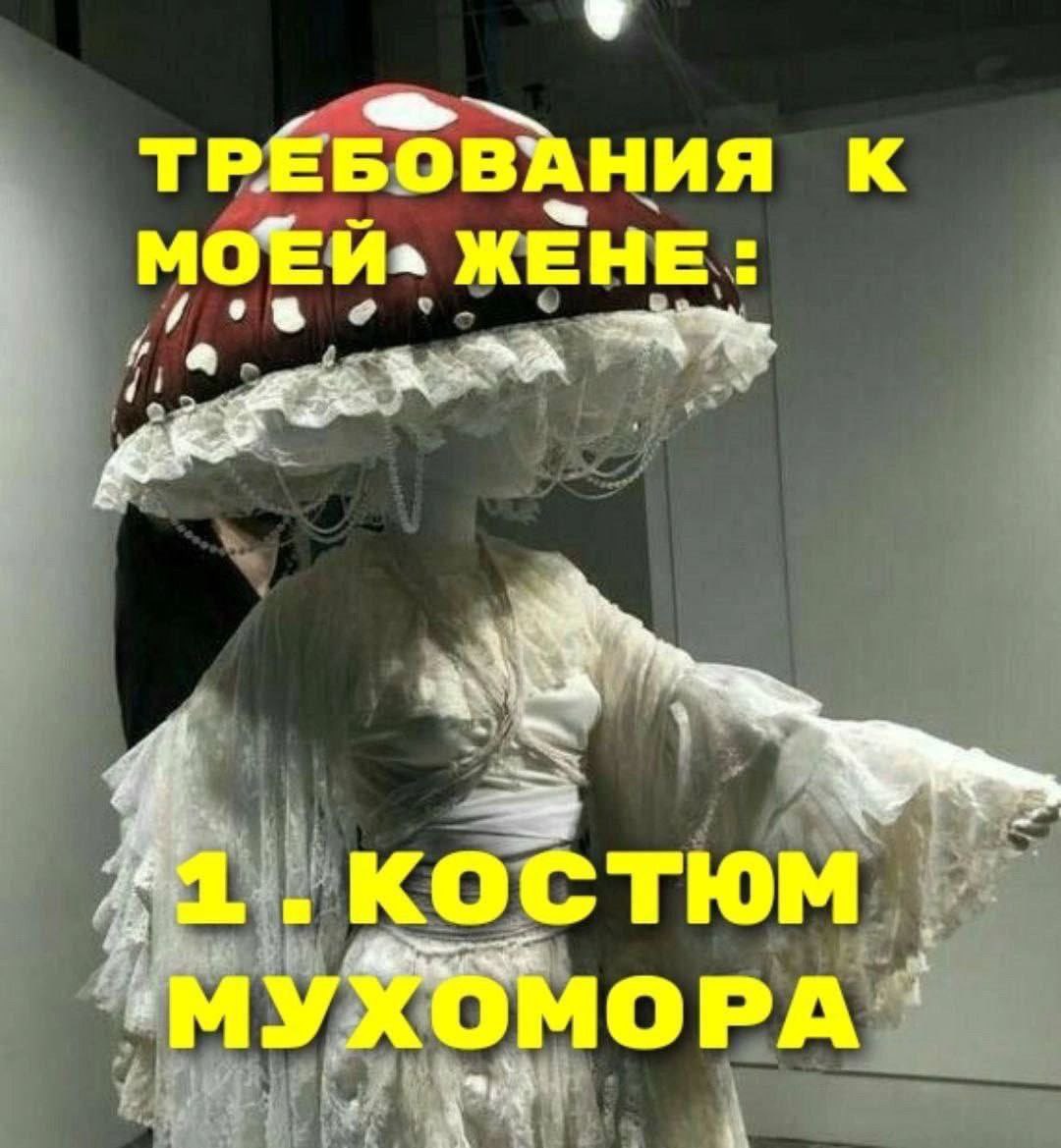 ТРЕБОВАНИЯ К МОЕЙ» ЖЕНЕ ‚МУХОМОРА