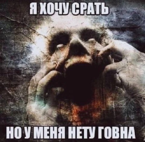ЯХОЧУ СРАТЬ НОУ МЕНЯ НЕТУ ГОВНА