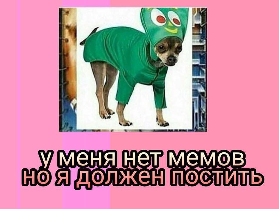 уменя нет мемов