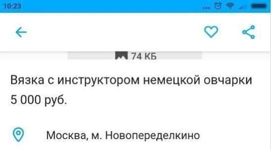 74 Вязка с инструктором немецкой овчарки 5 000 руб. Москва, Новопеределкино