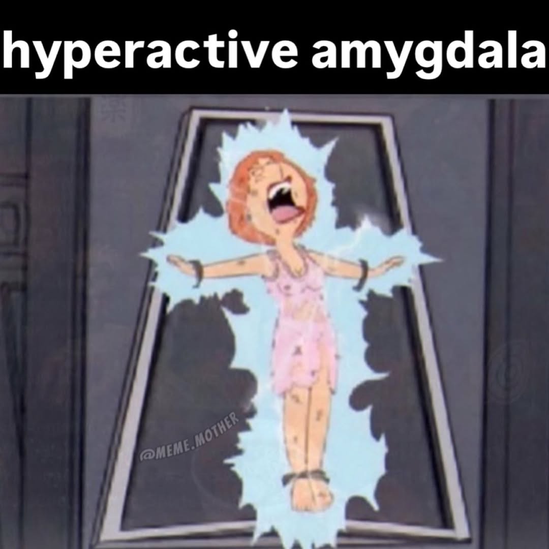 hyperactive amygdala