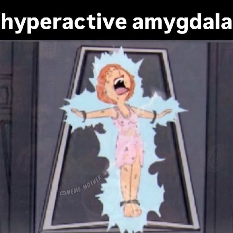 hyperactive amygdala