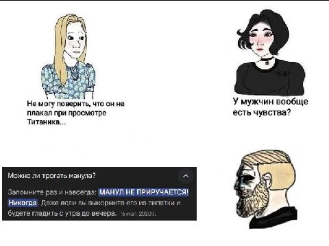 6 He могу поверить, что он не мужчин вообще плакал при просмотре есть чувства? Титаника... Можно ли трогать манула? Запомните раз и навсегда: МАНУЛ НЕ ПРИРУЧАЕТСЯ! Никогда. Даже если вы выкормите его 