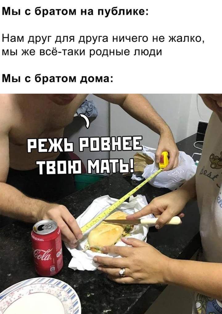 Мы с братом на публике Нам друг для друга ничего не жалко мы же все-таки родные люди Мы с братом дома РЕЖЬ ТВОЮ MATE!