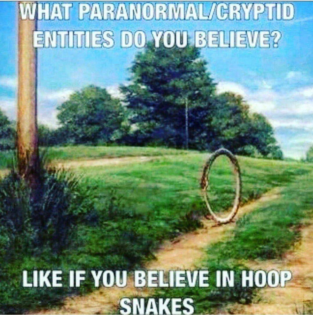 WHAT PARANORMAL/CRYPTID YOU BELIEVE? LIKE IF YOU BELIEVE IN HOOP SNAKES