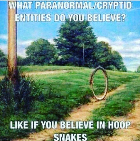 WHAT PARANORMAL/CRYPTID YOU BELIEVE? LIKE IF YOU BELIEVE IN HOOP SNAKES
