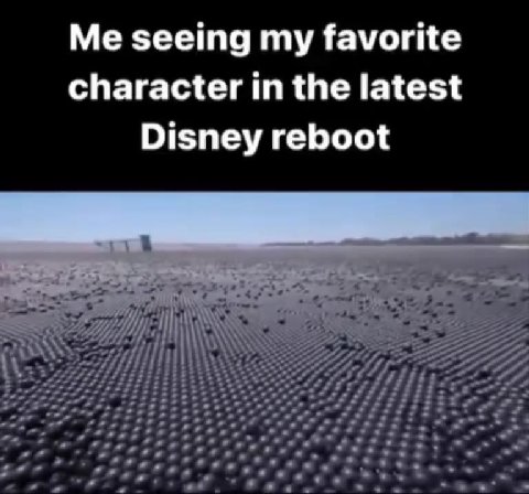 Me seeing my favorite character in the latest Disney reboot
