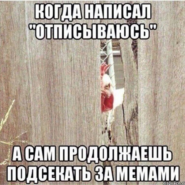 НАПИСАЛ a! _АСАМ `ПОДСЕКАТЬ ЗА МЕМАМИ.