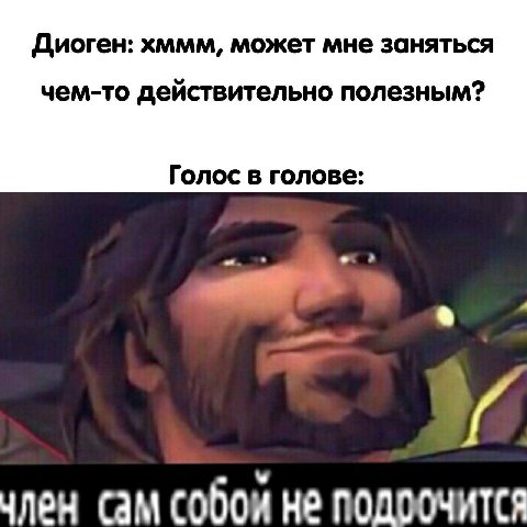 Диоген: хммм, может мне заняться чем-то действительно полезным? Голос в голове: член сам собой не подоочится