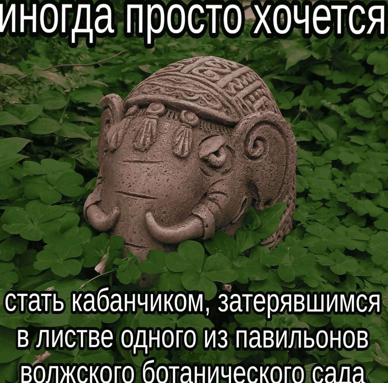 иногда просто хочется стать кабанчиком, затерявшимся листве одного из павильонов волжского ботанического сала