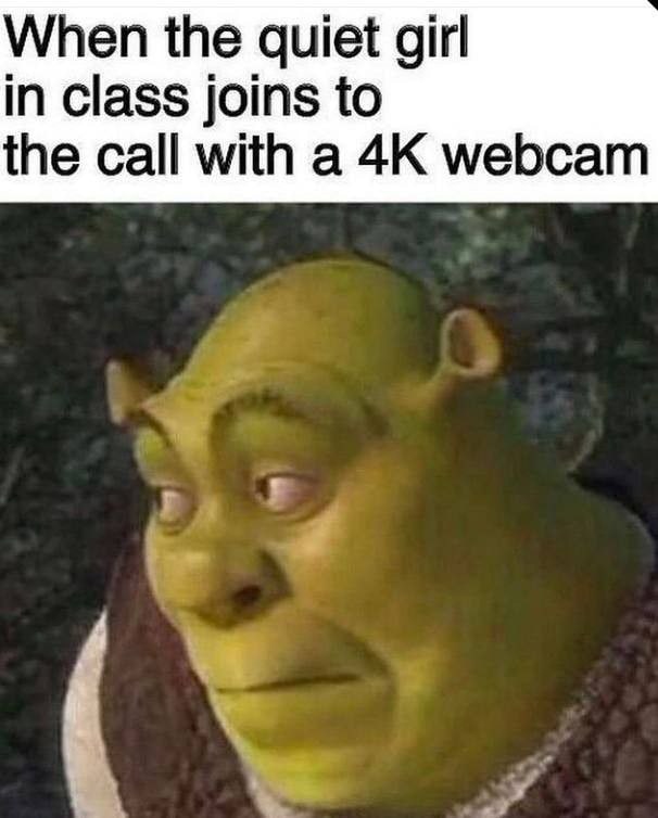 When the quiet girl in class joins to the call with a webcam
