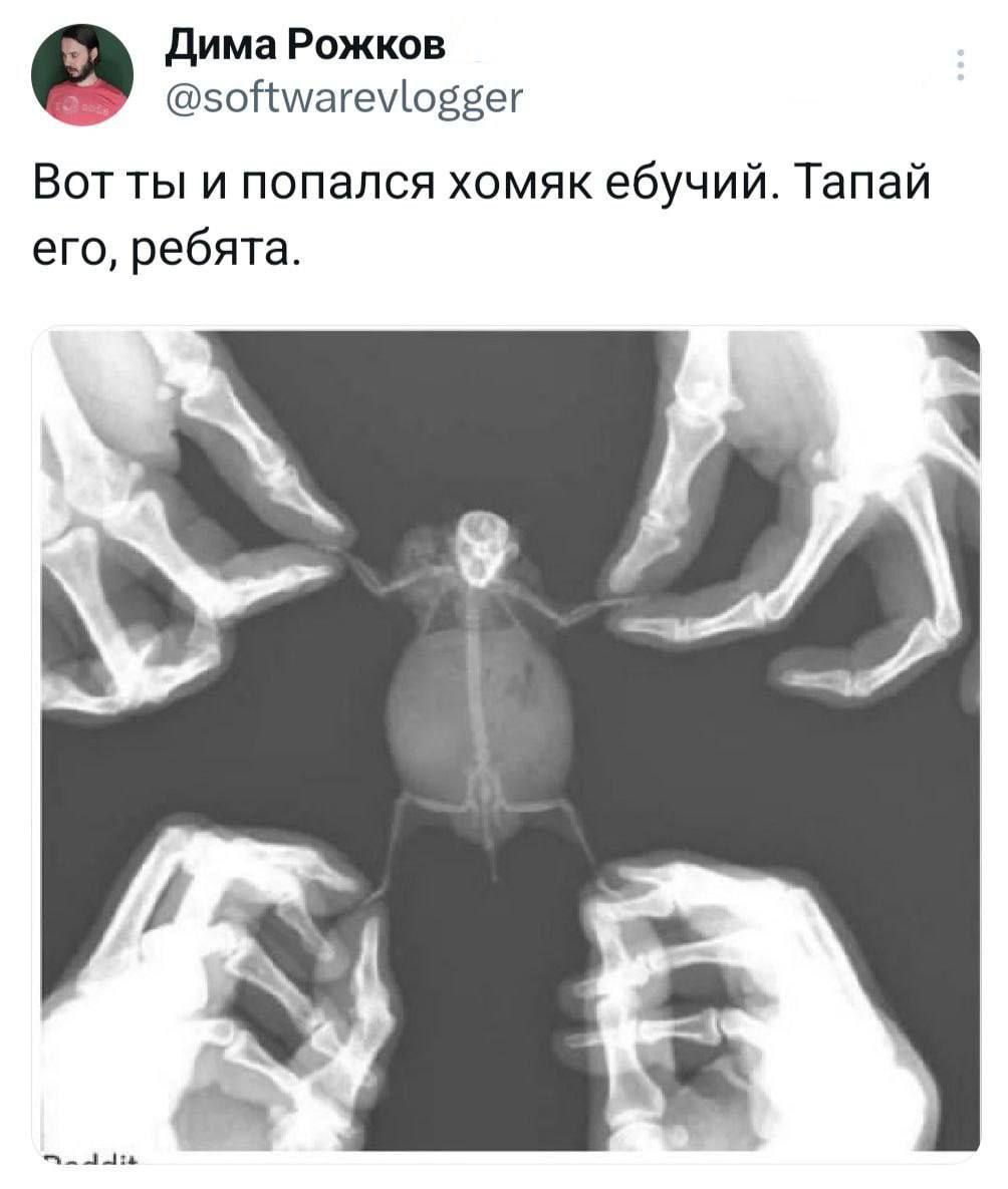Дима Рожков @softwarevlogger Вот ты и попался хомяк ебучий. Тапай его, ребята.