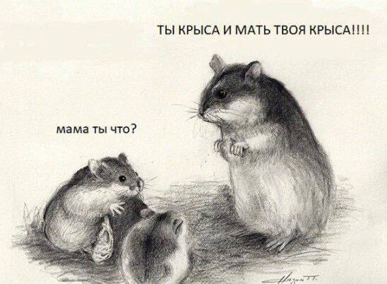 ТЫ КРЫСА И МАТЬ ТВОЯ мама ты что? у 2.