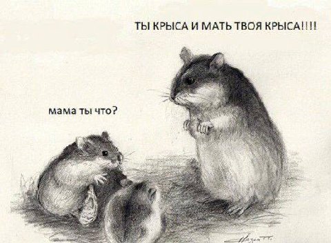ТЫ КРЫСА И МАТЬ ТВОЯ мама ты что? у 2.