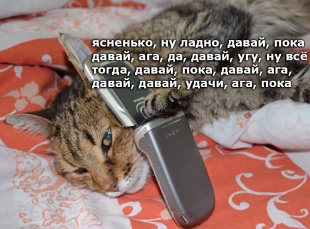 ясненько, ну ладно, давай, пока давай, ага, да, давай, угу, ну всё тогда, давай, пока, давай, ага, Давай, давай, удачи, ага, пока hee