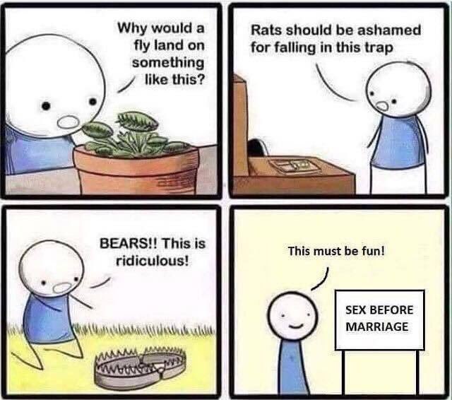 Why would a Rats should be ashamed fly land on for falling in this trap something like this? С» 4 BEARS!! This is ridiculous! SEX BEFORE MARRIAGE