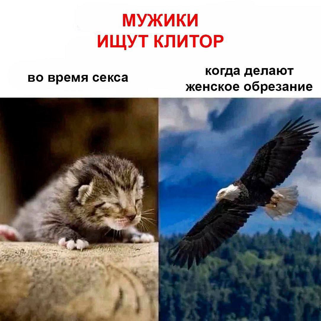 МУЖИКИ ИЩУТ КЛИТОР когда делают во время секса женское обрезание 3