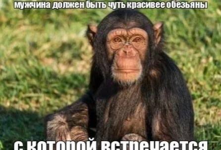 мужчина должен быть чуть красивее обезьяны