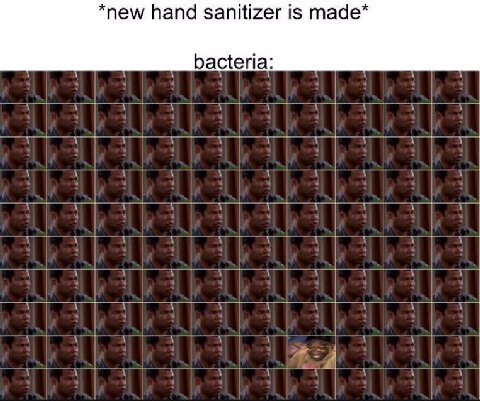*пем hand sanitizer is таде* bacteria: