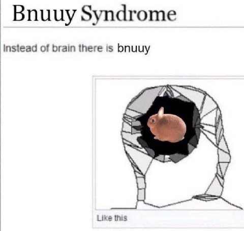 Bnuuy Syndrome instead of brain there is bnuuy Like this