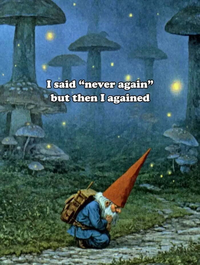 I said “never again” but then I agained