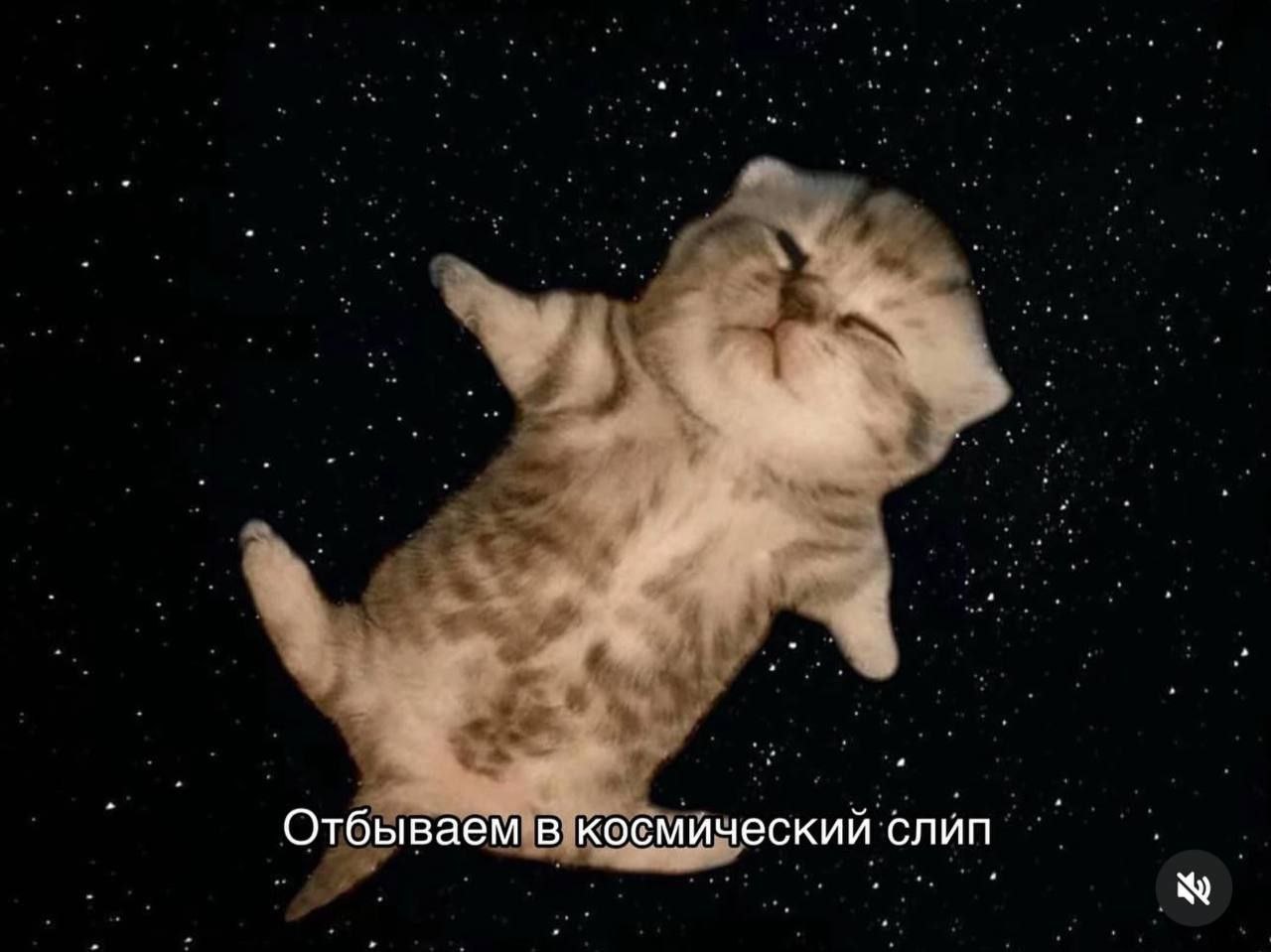 Отбываем в космический слип