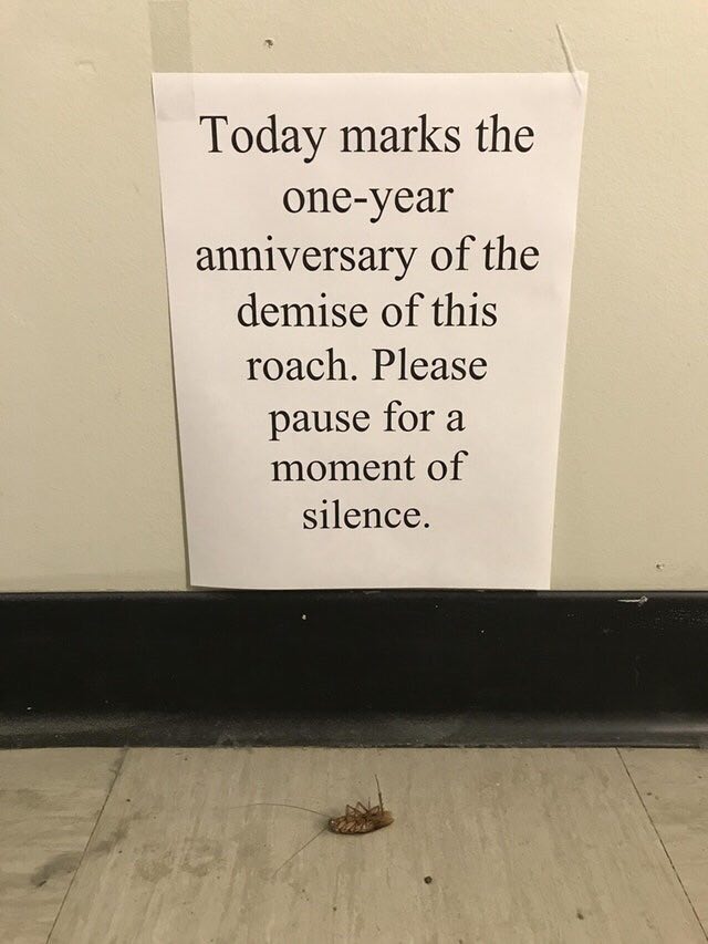 Today marks the one-year anniversary of the demise of this roach. Please pause for a moment of silence. у
