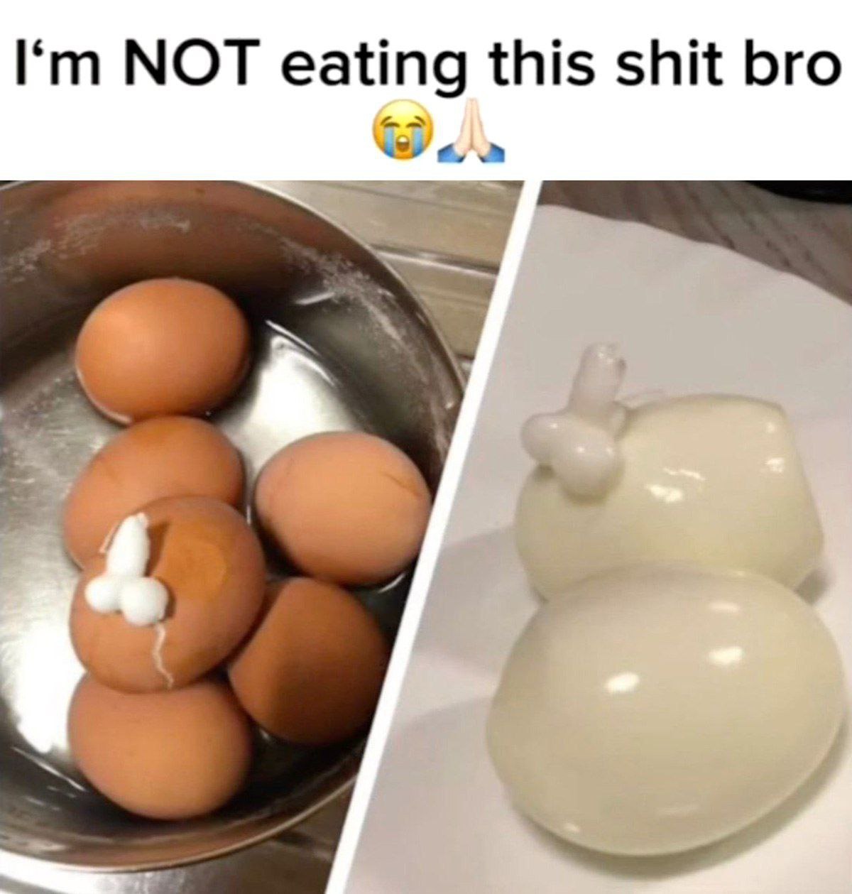 NOT eating this shit bro