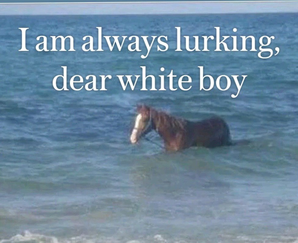 Гат always lurking, dear white boy