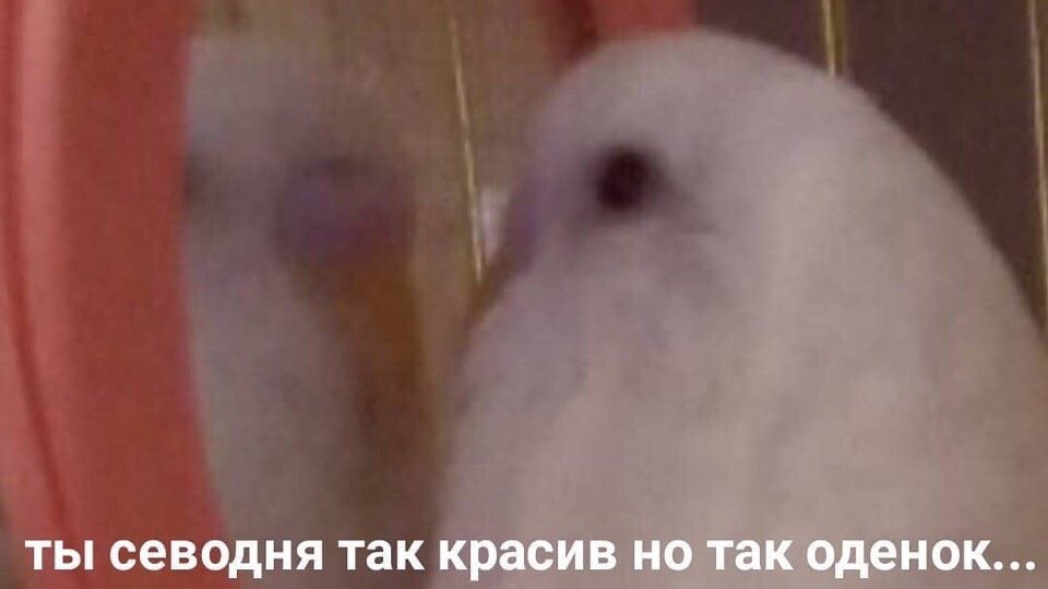 ты севодня так красив но так оденок...