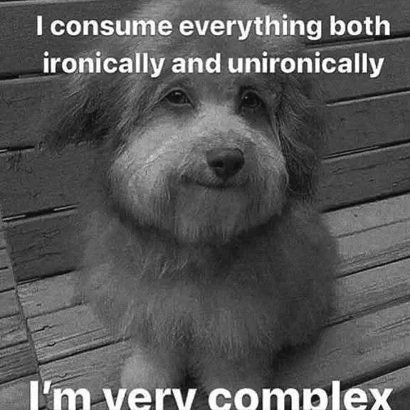 consume everything both ironically and unironically verv compley